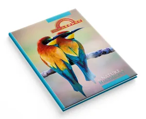 School diary "The Smartest" TV broadcast. /1В2704/ "Birds" SANDWICH, matte lam-choice UV-lacquer+tys (1/20)