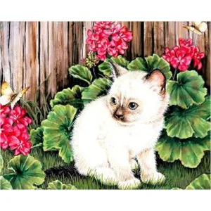 Алмазна мозаїка "JO" /GLD60767 - GB70661_O/ "Кошеня" рулон, у PVC, 30*40см