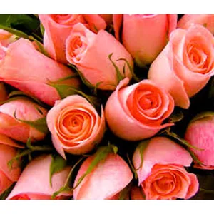 Алмазна мозаїка "JO" /GLD60406 - GB70068_O/ "Троянди" рулон, у PVC, 30*40см