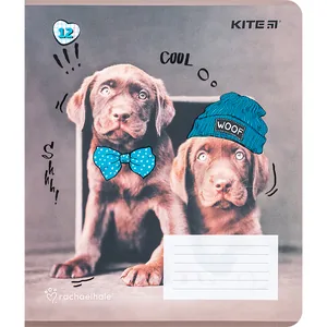 Student's notebook "Kite" 12 sheets # /R24-232/ "Rachael Hale" soft touch + UV varnish (25/600)