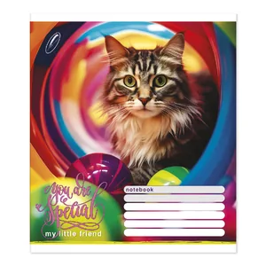 Student's notebook "Feather" 24 sheets # /TV-309/ #0039 "You are special" offset paper 50-53 g/m2 (20/400)