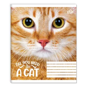 Student's notebook "Brisk" 36 sheets # /TV-7/ #2585 View of a cat (20/240)