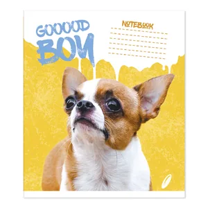 Student's notebook "Feather" 24 sheets == /TV-309/ №0158 Beautiful boy, offset paper 50-53 g/m2 (20/400)