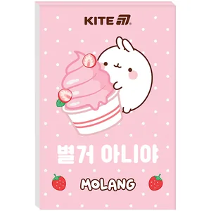 Notebook 70*105mm/48 sheets. "Kite" /ML25-224/ Molang (1/10)