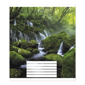 Student's notebook "Gold Brisk" 24 sheets # /TV-49/ #3524 "Enchanted Forest", 60g/m2, UV varnish (20/400)
