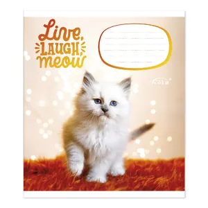 Student's notebook "Gold Brisk" 12 sheets// /TV-47/ №3512 Kittens, 60g/m2, UV varnish (25/500)