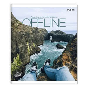 Student's notebook "Brisk" 96 sheets # /TV-17/ #2703 Offline (10/120)