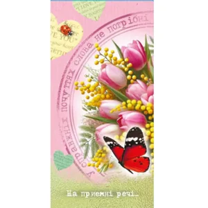 Money envelope "Fiesta" /КВ 25-276/ For nice things (10/300)