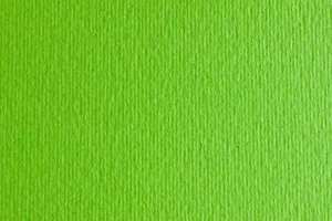 Папір для дизайну А3 (29,7*42см) "Fabriano" Elle Erre №10 verde picello, 220г/м2, салатовий (10)