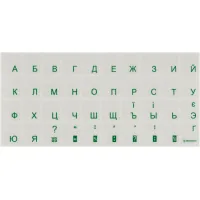 Keyboard sticker Brain green (STBRTRGREEN)