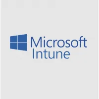 Офісний додаток Microsoft Intune Plan 1 P1Y Annual Commercial License (CFQ7TTC0LCH4_0009_P1Y_A)