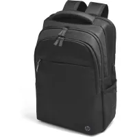 Backpack for a laptop HP 17.3" Prof Laptop Bckpck (500S6AA)