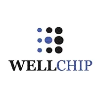 Chip for cartridge HP LJ CE505X/CF280X/CC364X, Canon 725/728, J35XU Wellchip (CHPJ35XU)
