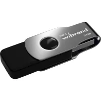 USB flash drive Wibrand 256GB Lizard Black USB 3.2 (WI3.2/LI256P9B)