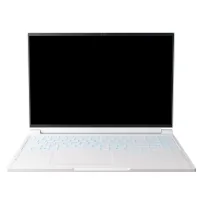 Ноутбук Thunderobot RS16 (RS16-I9139HX56E1Q240ARC)