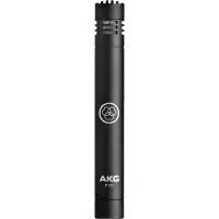 Microphone AKG P170 (3101H00410)