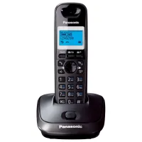 DECT phone Panasonic KX-TG2511UAT