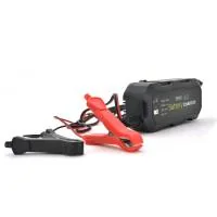 Mains charger for Merlion BYGD 6853D (6853D) batteries