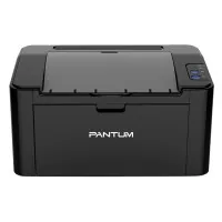 Pantum P2500NW Wi-Fi laser printer (P2500NW)