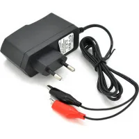 Mains charger for Merlion PPI-602000 batteries