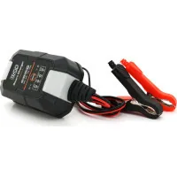 Network charger for the Merlion ML-F1000 battery