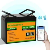 Battery LiFePo4 Eco-Worthy 12.8V 100Ah LCD (Eco-Worthy-12100bt)