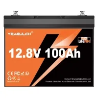 Battery LiFePo4 YEAGULCH 12.8V 100Ah Mini (YEAGULCH-12.8V/100Ah Mini)