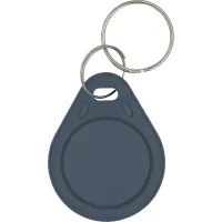 Keychain with Trinix P-key RW gray chip