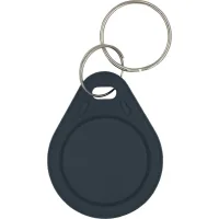 Keychain with Trinix P-key RW black chip