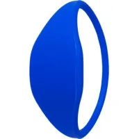 Keychain with a Trinix WRB-02MF blue chip
