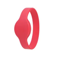 Keychain with a Trinix WRB-01EM RED chip