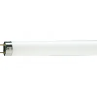 Bulb Philips TL-D G13 1500mm 58W/54-765 1SL/25 (928049005451)