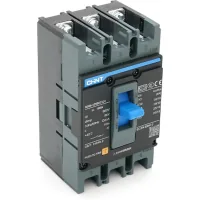 Automatic circuit breaker CHINT NXM-125S-3300-100A