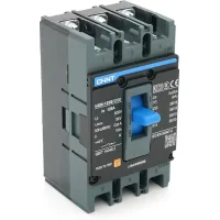 Automatic circuit breaker CHINT NXM-125S-3300-125A
