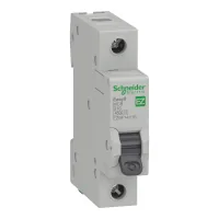 Automatic switch Schneider Electric EZ9 1P 16A (EZ9F14116)