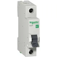 Automatic switch Schneider Electric EZ9 1P 6A C (EZ9F34106)