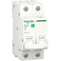 Automatic circuit breaker Schneider Electric RESI9 6kA 2P 25A (R9F02225)