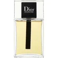 Dior Homme Eau de Toilette 100 ml (3348901419147)