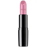 Artdeco Perfect Color Lipstick 955 - Fosted Rose (4052136087345)