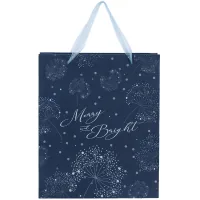 Gift bag Axent plastic Flower Symphony-4, 25x19 cm (8503-44-A)