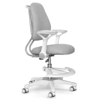 Children's chair s Mio Ergo Gray Evo-kids (Y-507 G)