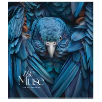 Зошит Школярик THE MUSE 48 аркушів лінія (048-3444L)