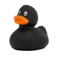 Bathroom toy Funny Ducks Duck Black (L1304)