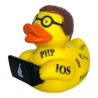 Funny Ducks Bath Toy Duck Programmer (1333)
