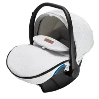 Car seat Riko Kite (from 0 to 13 kg) light gray (682011)