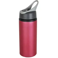 Water bottle Loooqs Sport active 600ml (P436.569)