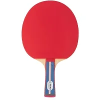 Racket for table tennis Gewo Standard Pro FL (600300001) (931331)