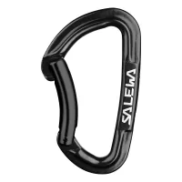 Travel carabiner Salewa Hot G3 Bent 1722 0900 - UNI - black (013.003.1320)