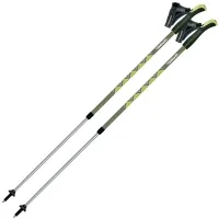 Nordic walking sticks Gabel Ritmo Green (7008350760000) (DAS303056)