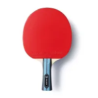 Table tennis racket Butterfly Team Advance FL (6256900002) (931841)